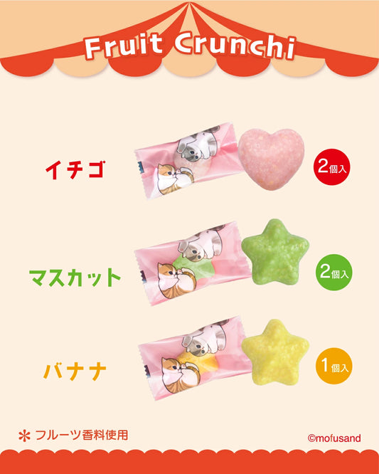 【預訂】【情人節限定】ぷにゅっと ころっと MOFUSAND - 貓貓水果鐡盒