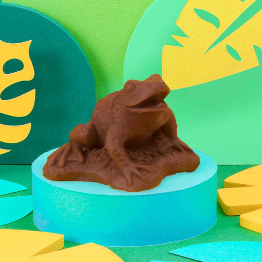 【預訂】【情人節限定】ZOOLOGY - 青蛙朱古力(隨機)