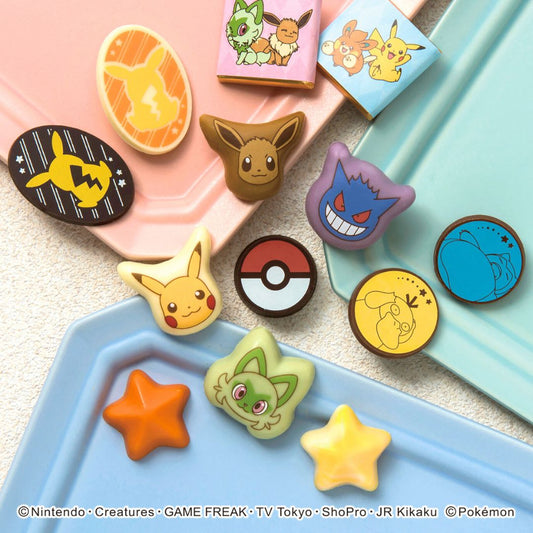【預訂】【情人節限定】POKEMON - CHOCOLATE SET L 15件裝