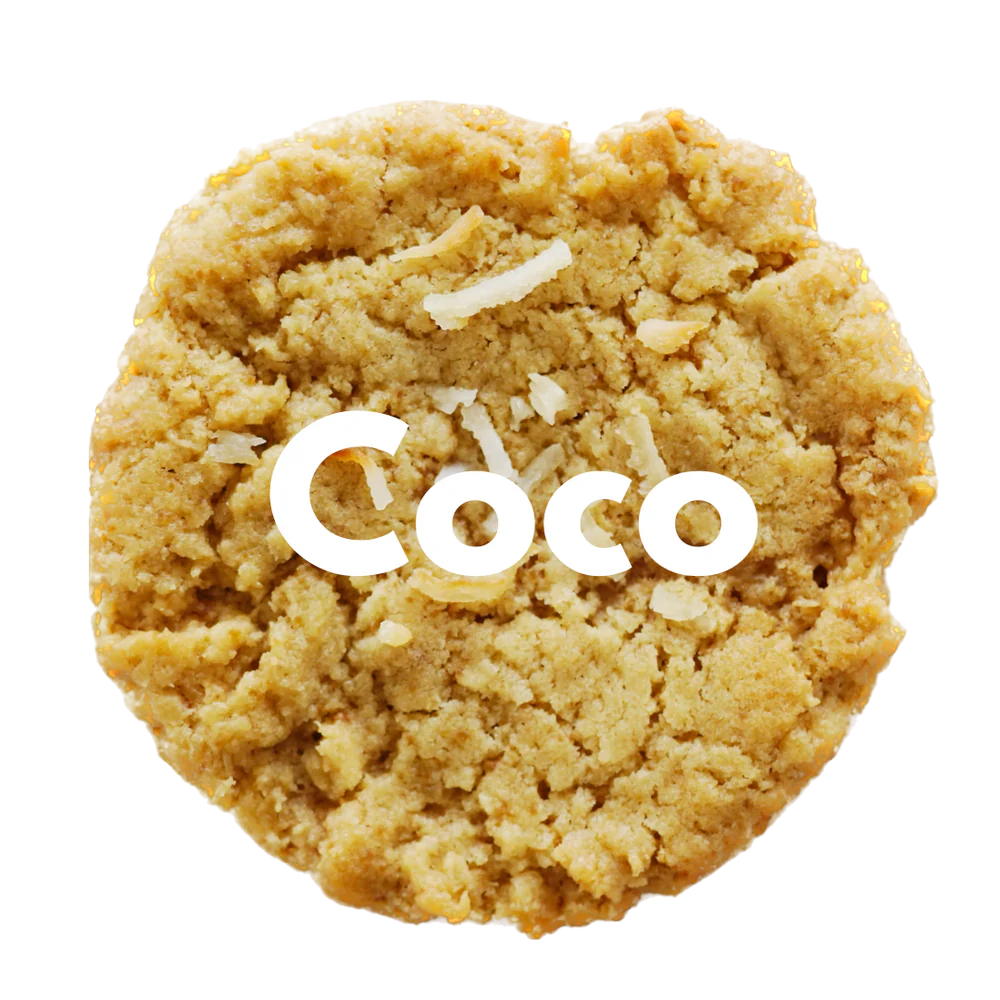 【預訂】 OVGO BAKER - COCO