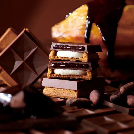 【預訂】PRESS BUTTER SAND JAPAN - CHOCOLATE BUTTER SAND 7件裝