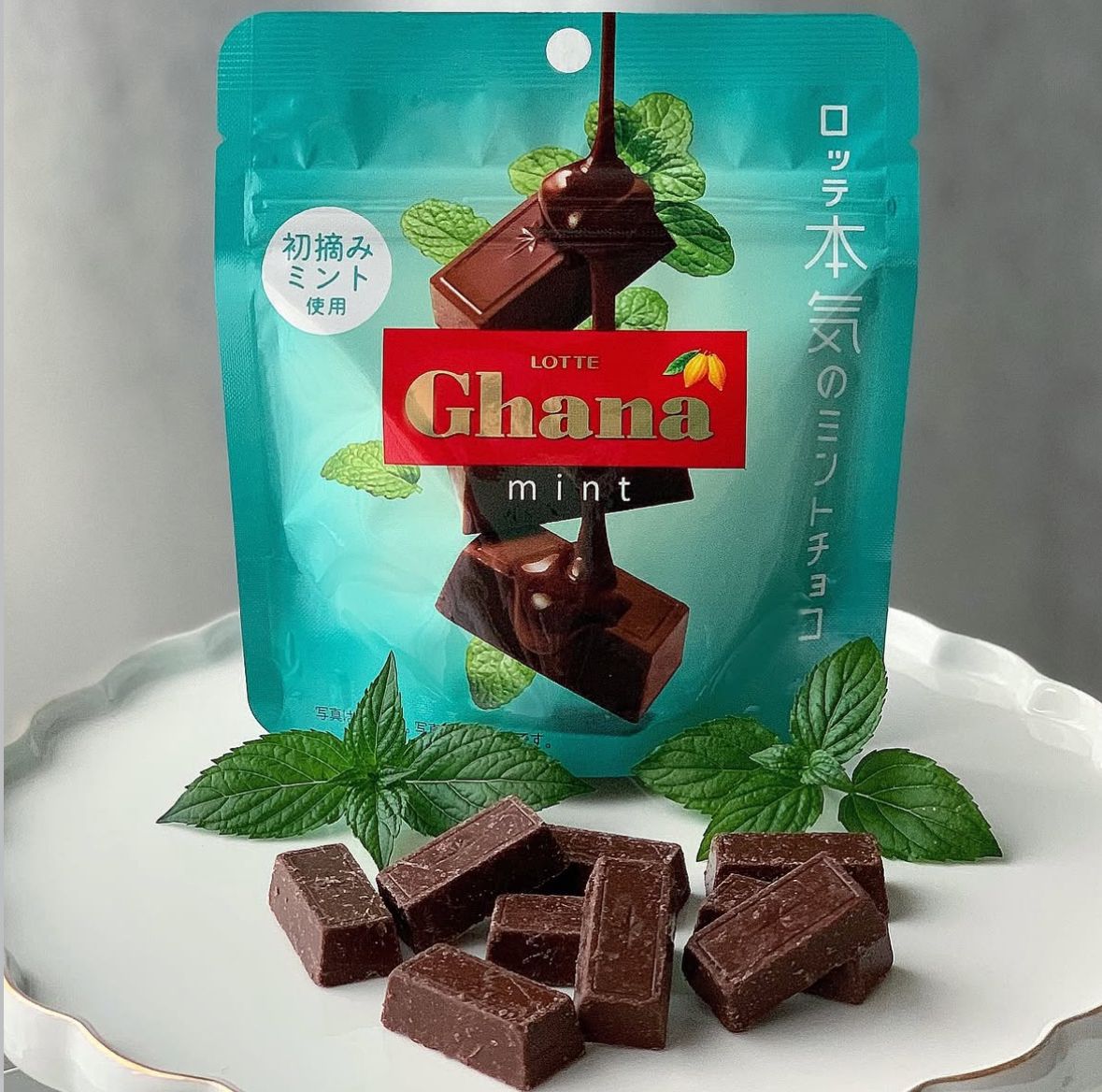 【現貨】LOTTE - GHANA薄荷朱古力 (3包)