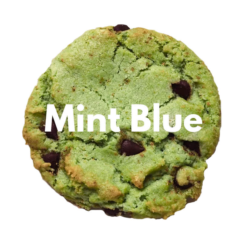 【預訂】 OVGO BAKER - MINT BLUE