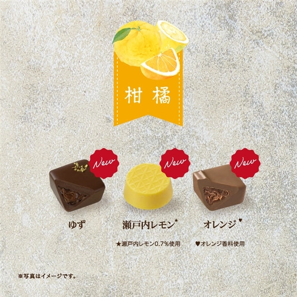 【預訂】【情人節限定】太陽朱古力 - 3種柑橘味朱古力3件裝