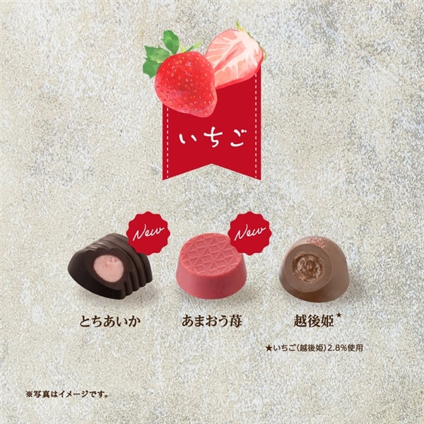 【預訂】【情人節限定】太陽朱古力 - 士多啤梨味朱古力3件裝