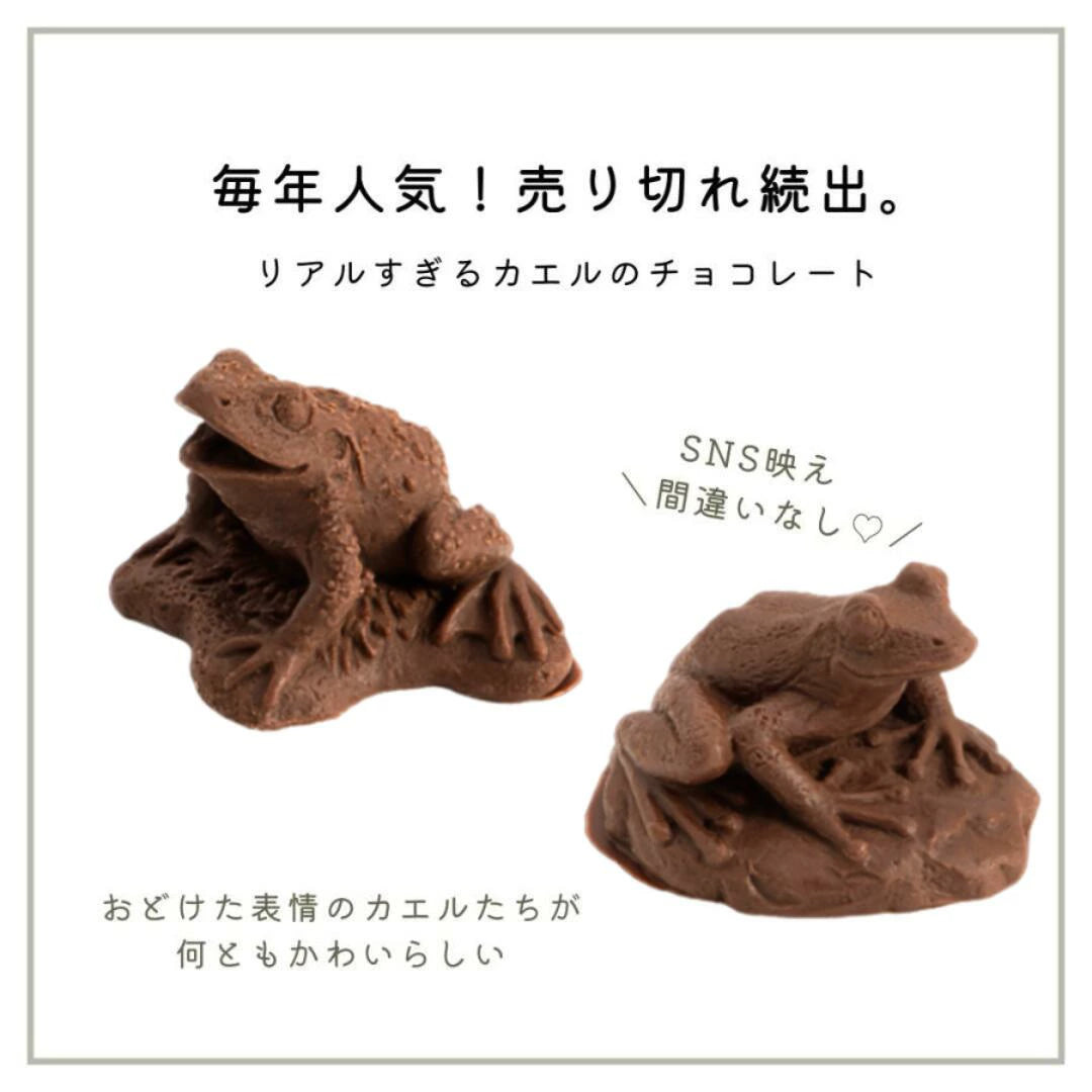 【預訂】【情人節限定】ZOOLOGY - 青蛙朱古力(隨機)