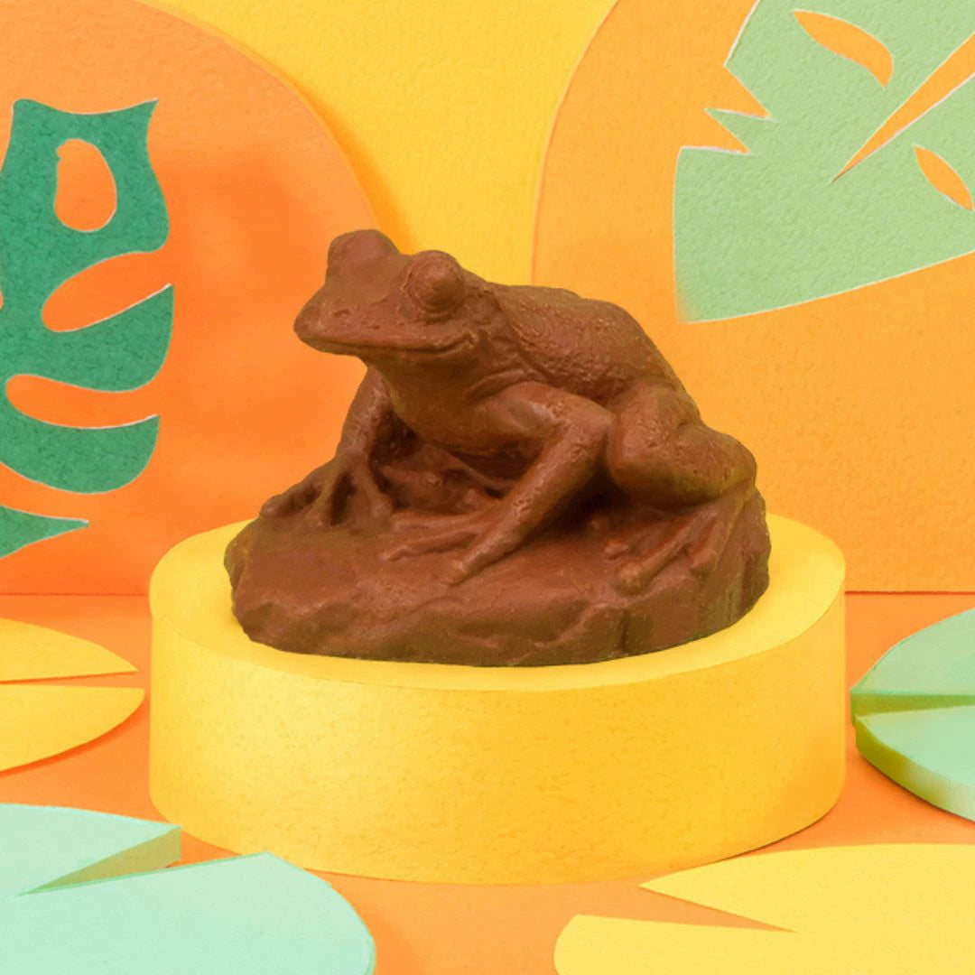 【預訂】【情人節限定】ZOOLOGY - 青蛙朱古力(隨機)