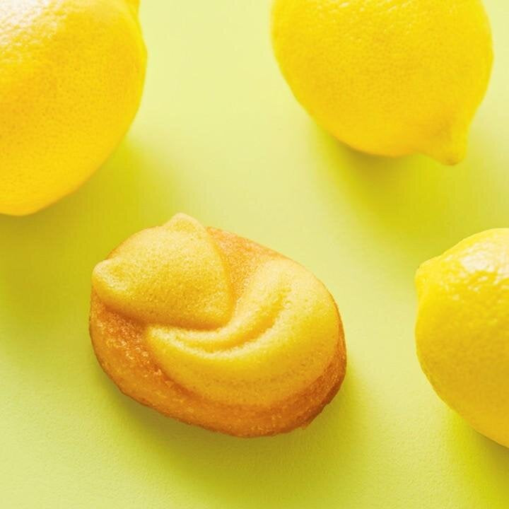 【預訂】【情人節限定】KITSUNE TO LEMON - 睡狐檸檬蛋糕 6件裝