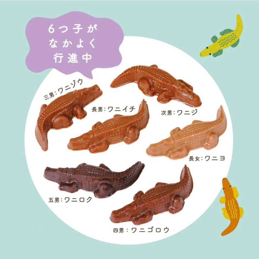 【預訂】【情人節限定】ZOOLOGY - 鱷魚造型朱古力6件裝