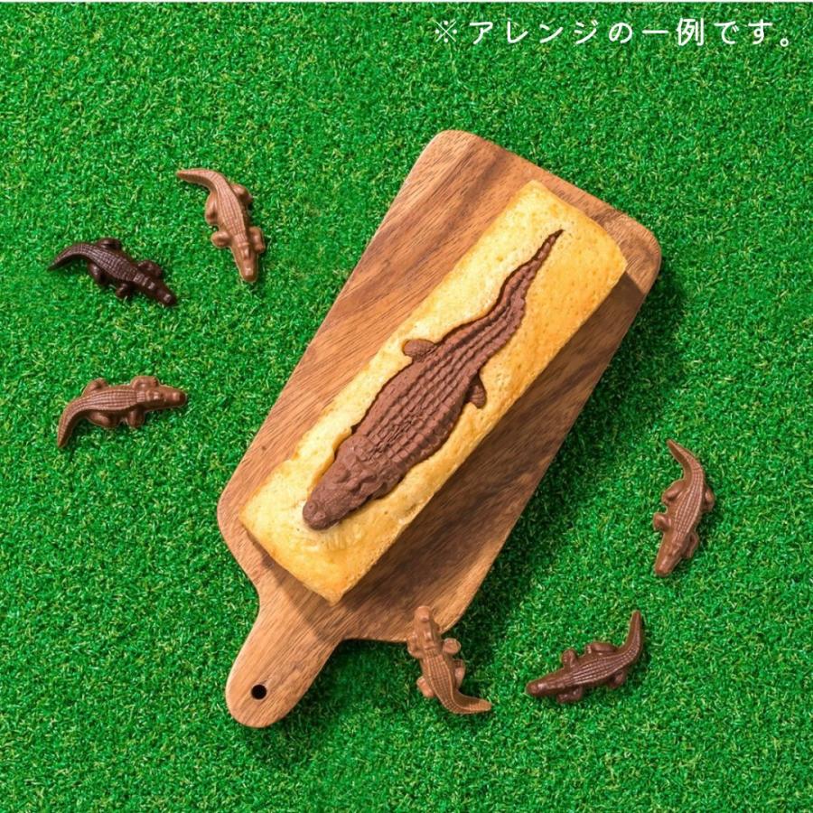 【預訂】【情人節限定】ZOOLOGY - 鱷魚造型朱古力6件裝