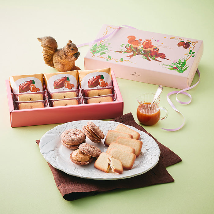 【預訂】【情人節限定】ANTENOR - 綜合9件裝