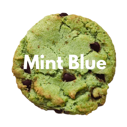 【現貨】OVGO BAKER - MINT BLUE